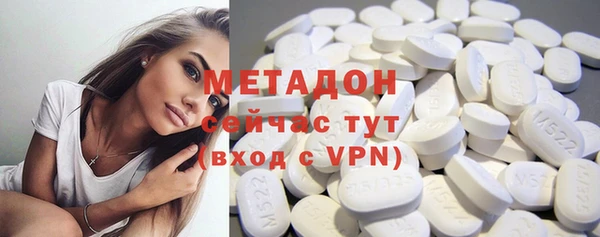 прущие грибы Арсеньев