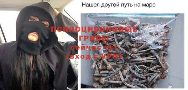 дживик Сосновый Бор