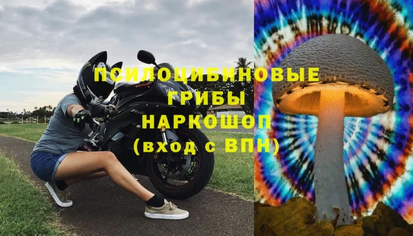прущие грибы Арсеньев