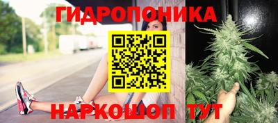 молекула духа Славянск-на-Кубани