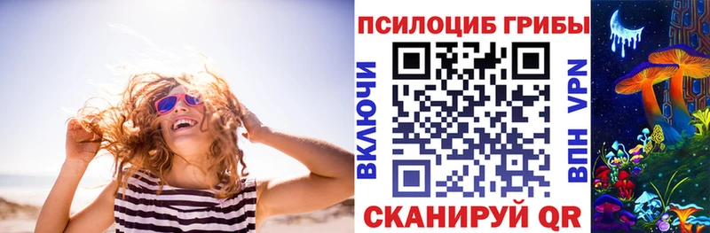 Галлюциногенные грибы мицелий Шатура