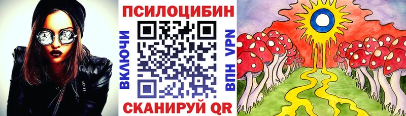 Псилоцибиновые грибы GOLDEN TEACHER  купить закладку  Шатура 