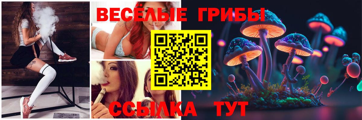 Галлюциногенные грибы ЛСД  Псилоцибиновые грибы мицелий  купить наркоту  Шатура  Вход с VPN 