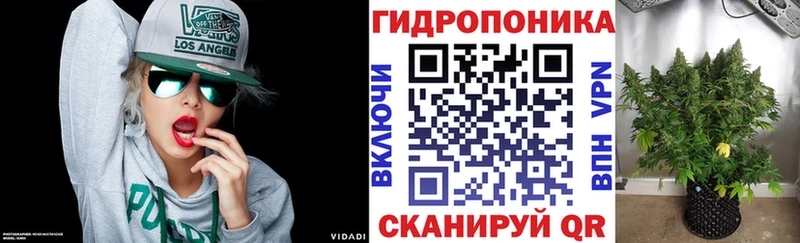 Марихуана конопля  где продают наркотики  Шатура 